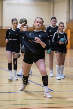 Bild 128 - wBJ TSV Ellerau - HSG Stoertal Hummeln : Ergebnis: 26:19